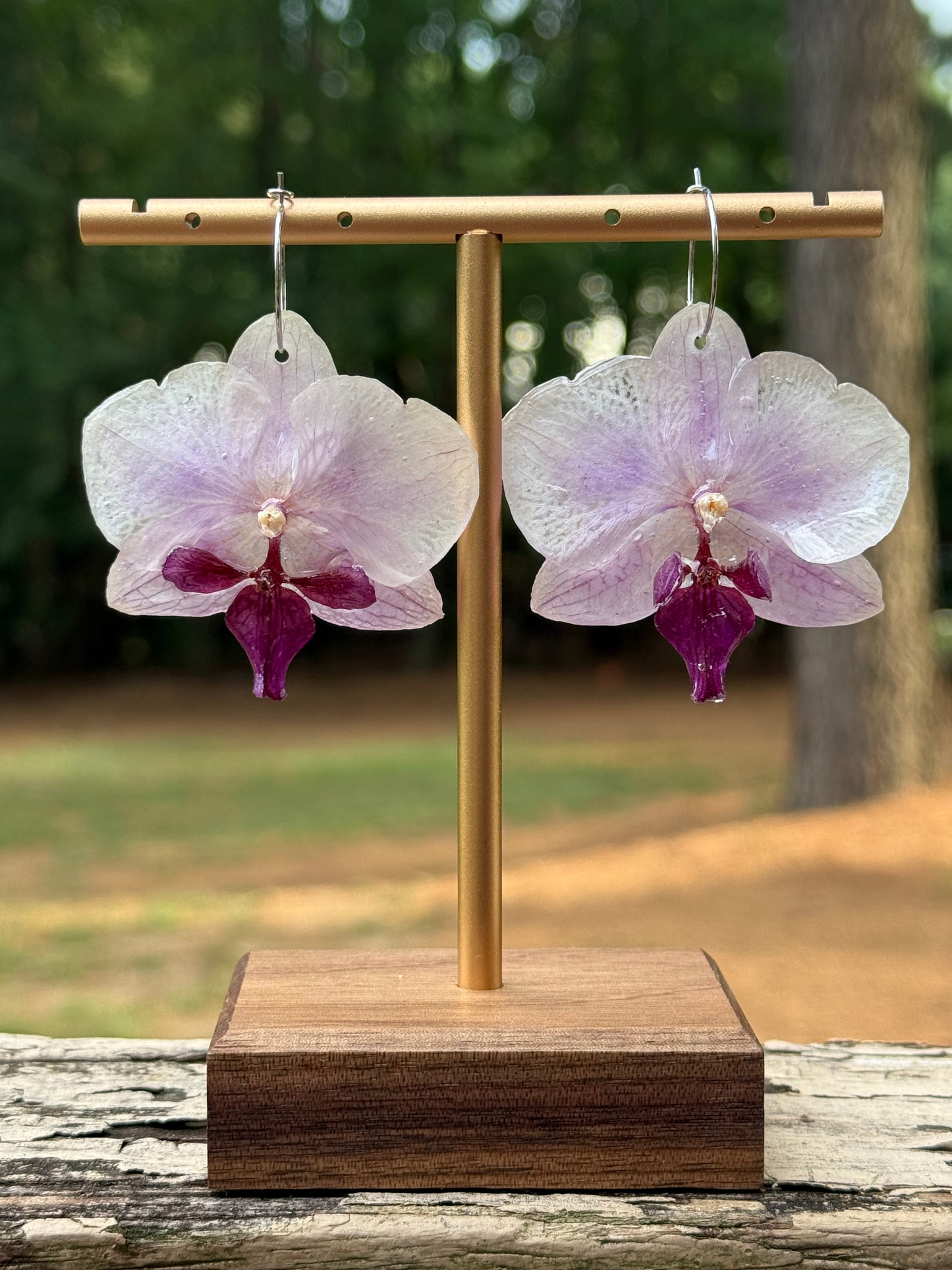 Purple Orchid