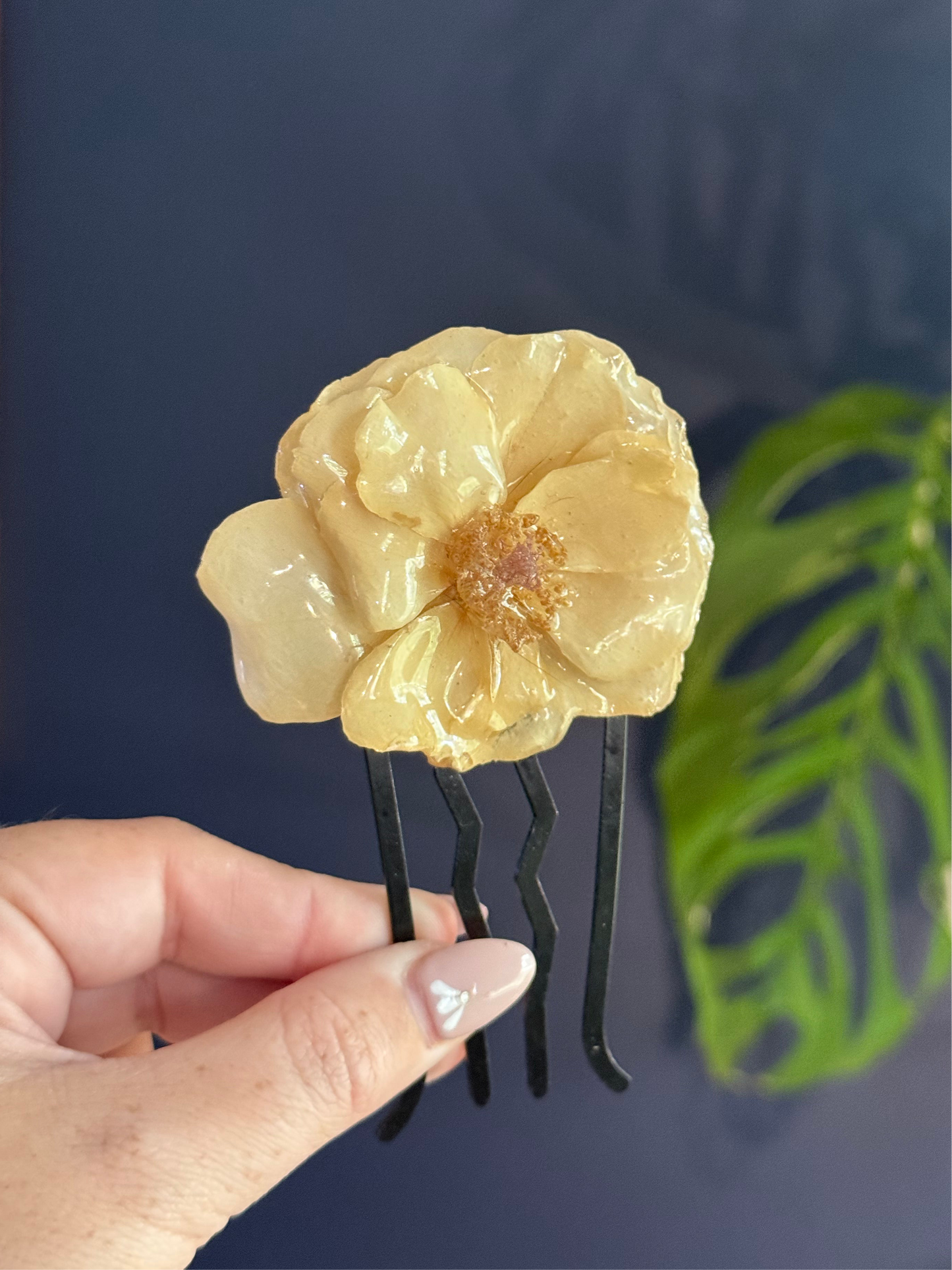 Knock Out Rose Comb