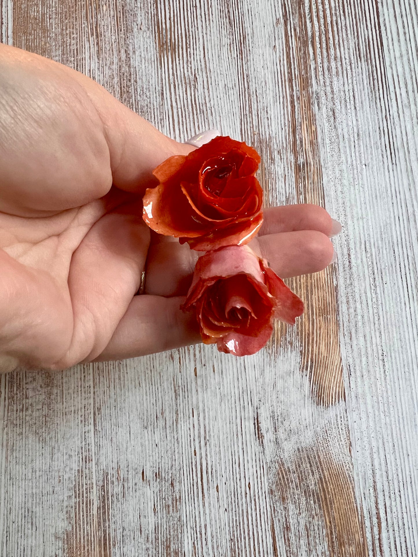 Peachy Pink Roses