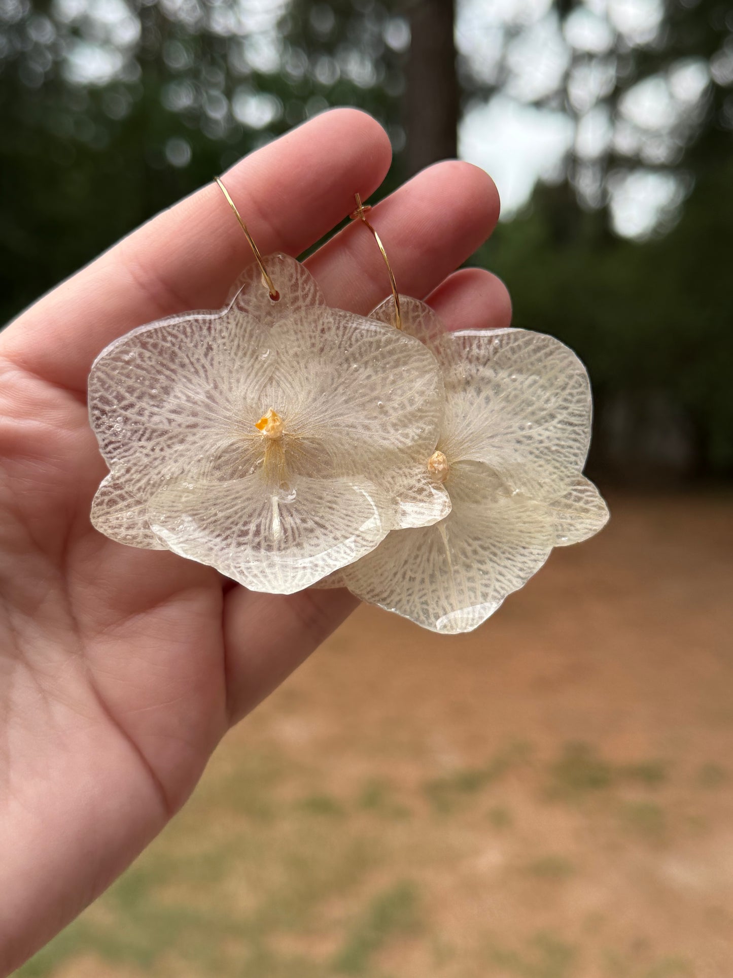Iridescent Orchid