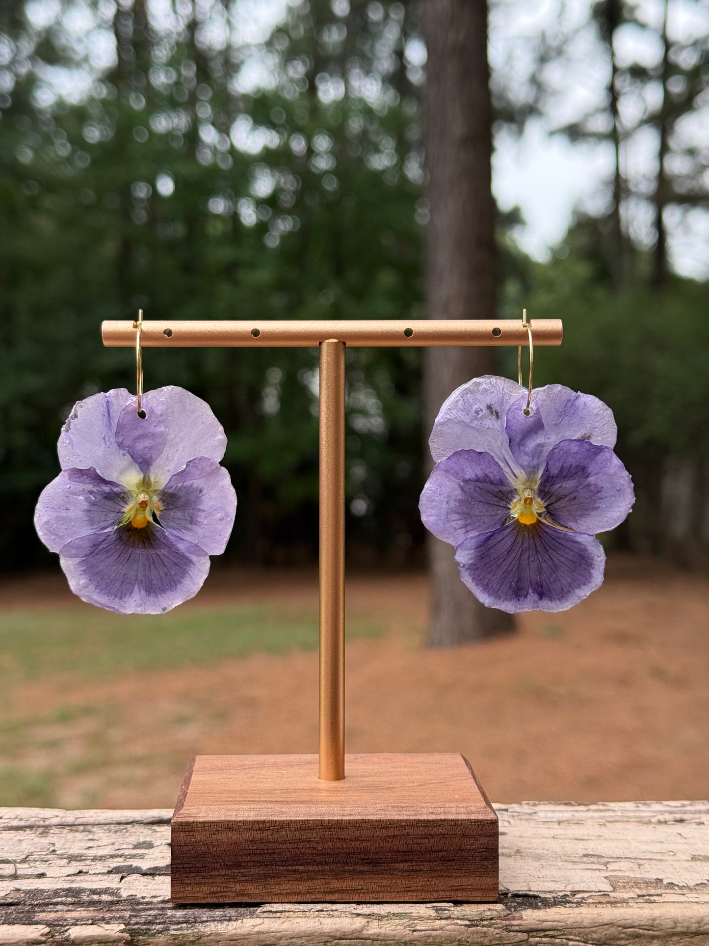 Pansy