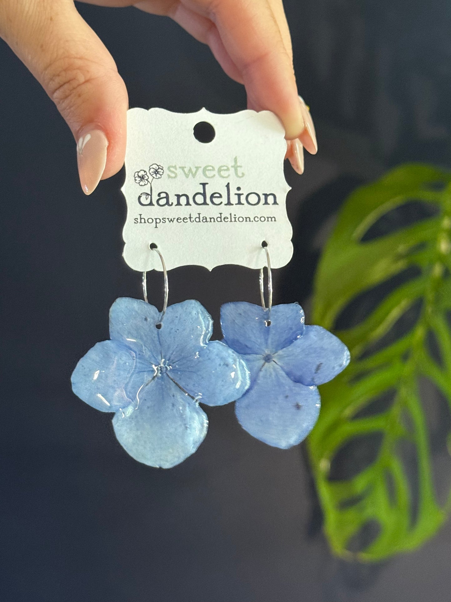 Hydrangea Simple Hoop