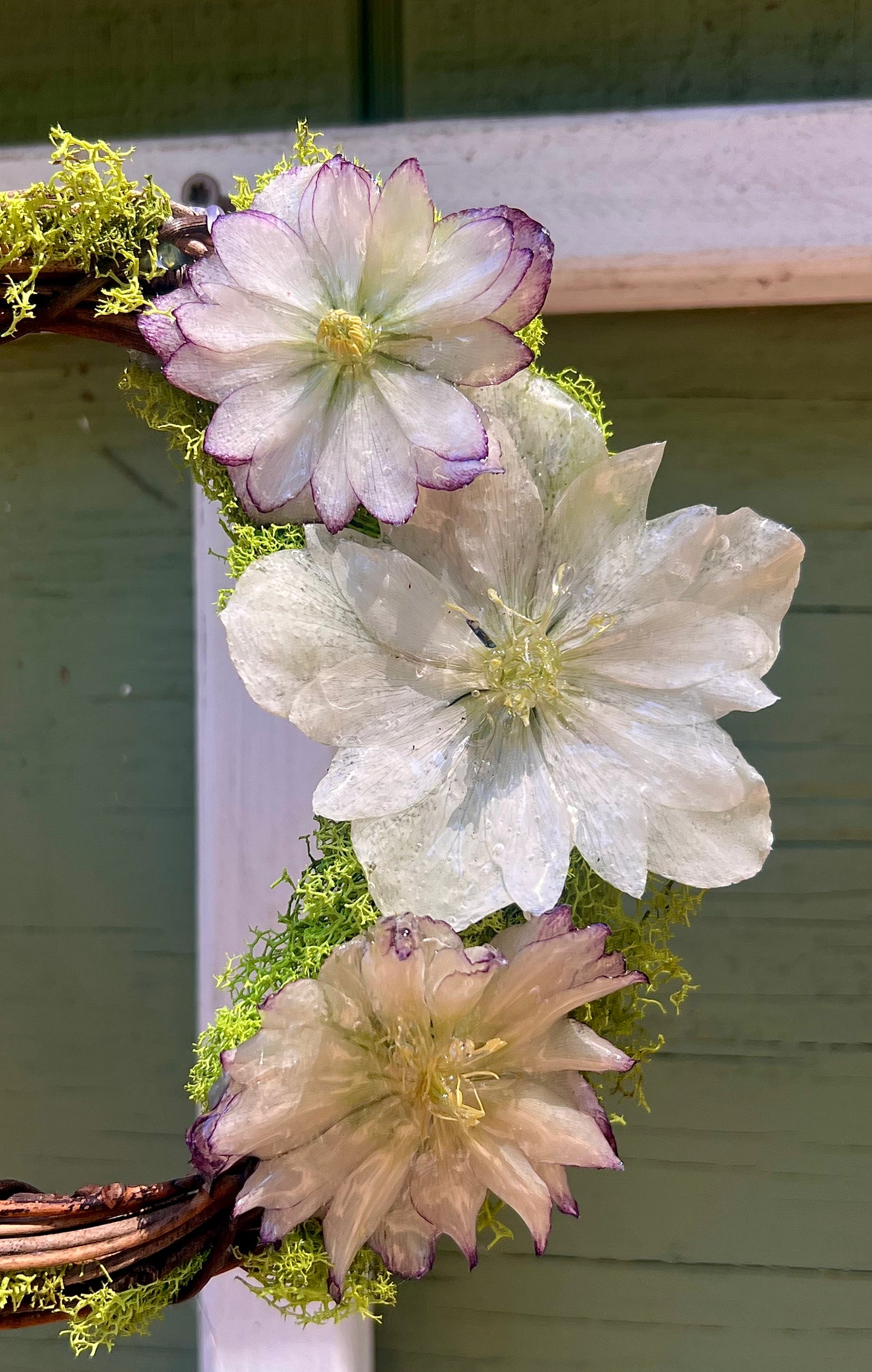 White Hellebore Wreath 6"