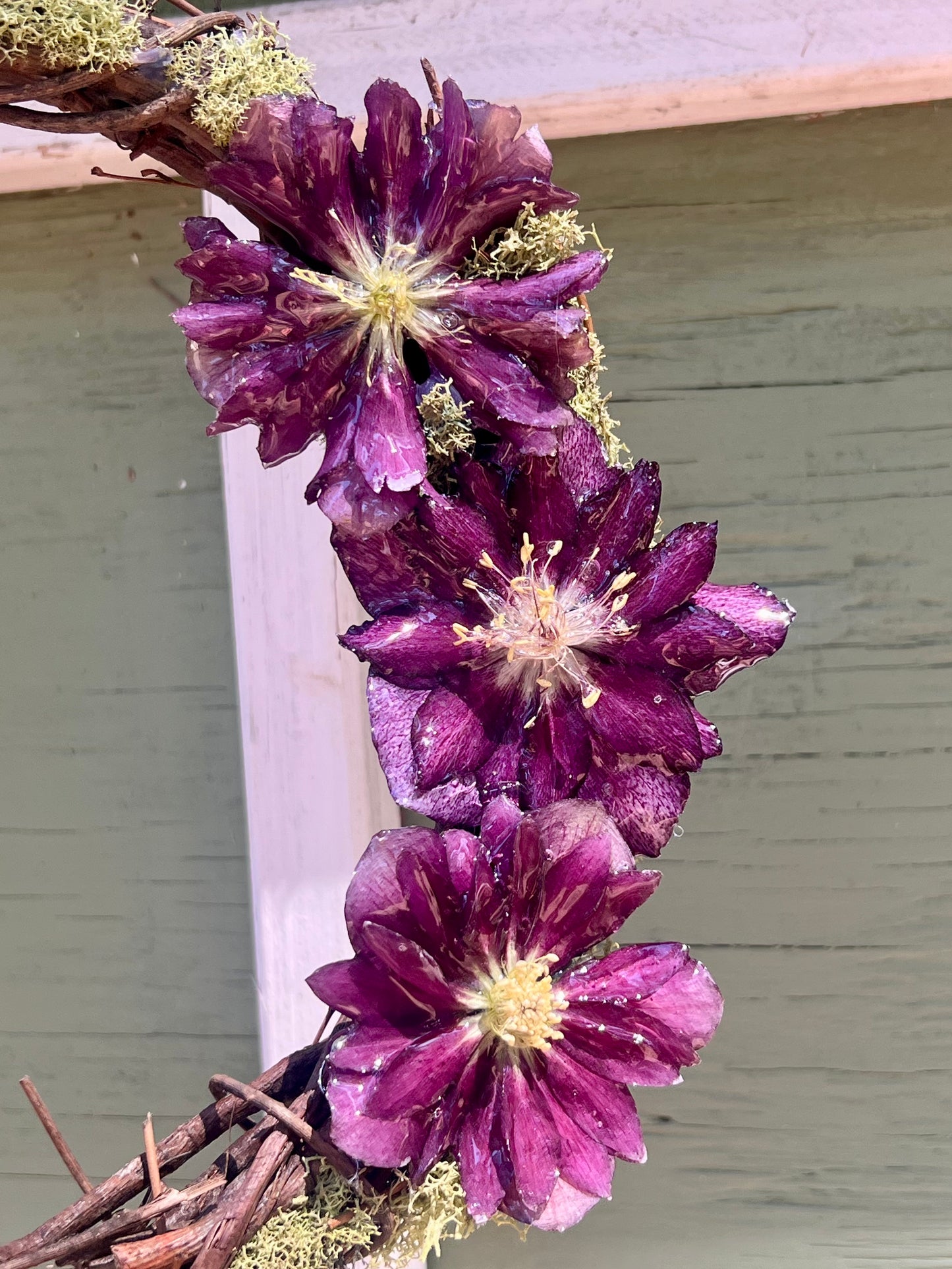 Deep Purple Hellebore Wreath 10"