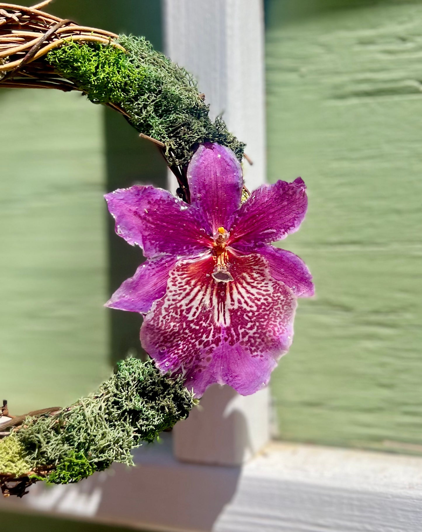 Purple Orchid Wreath 6"