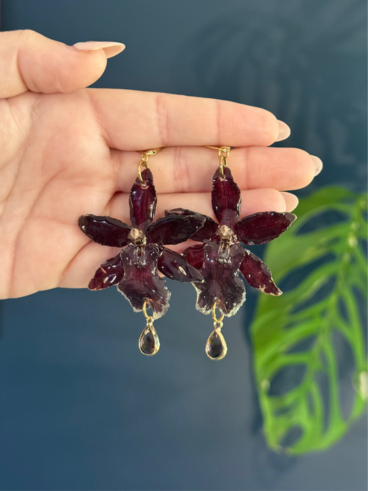 Dark Red Exotic Orchid, French