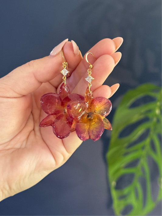 Sunset Orchid