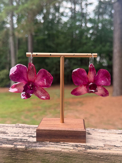 Iridescent Purple Dendrobium Orchid