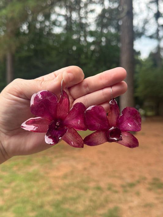 Iridescent Purple Dendrobium Orchid