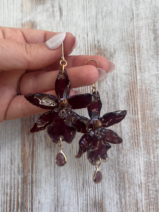 Dark Red Exotic Orchid, French Hook