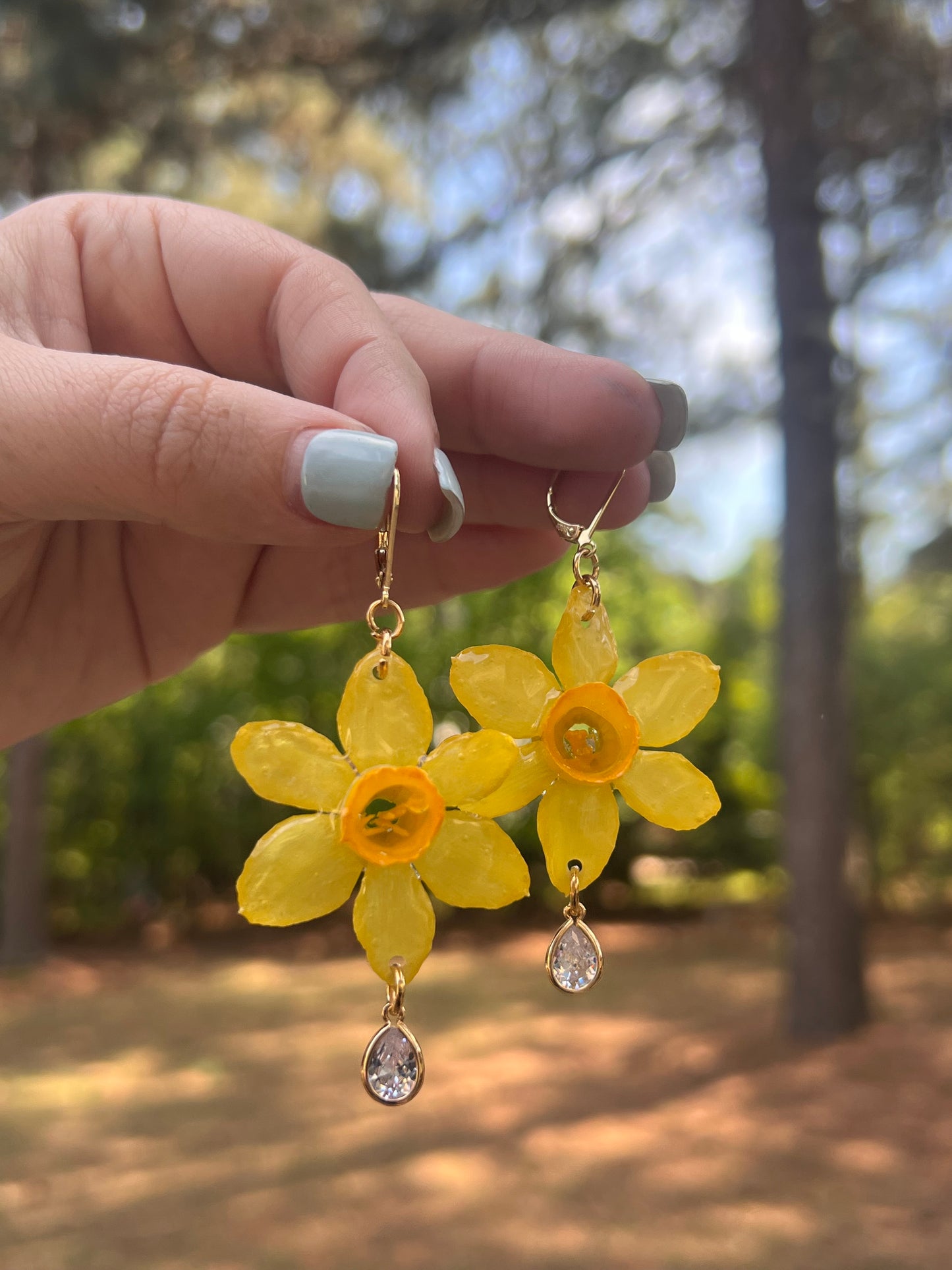 Mini Daffodil, Clear Charm