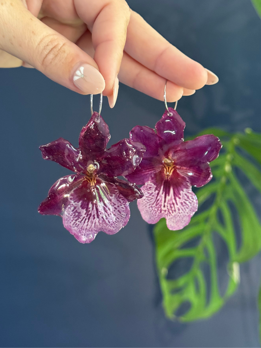 Purple Exotic Orchid