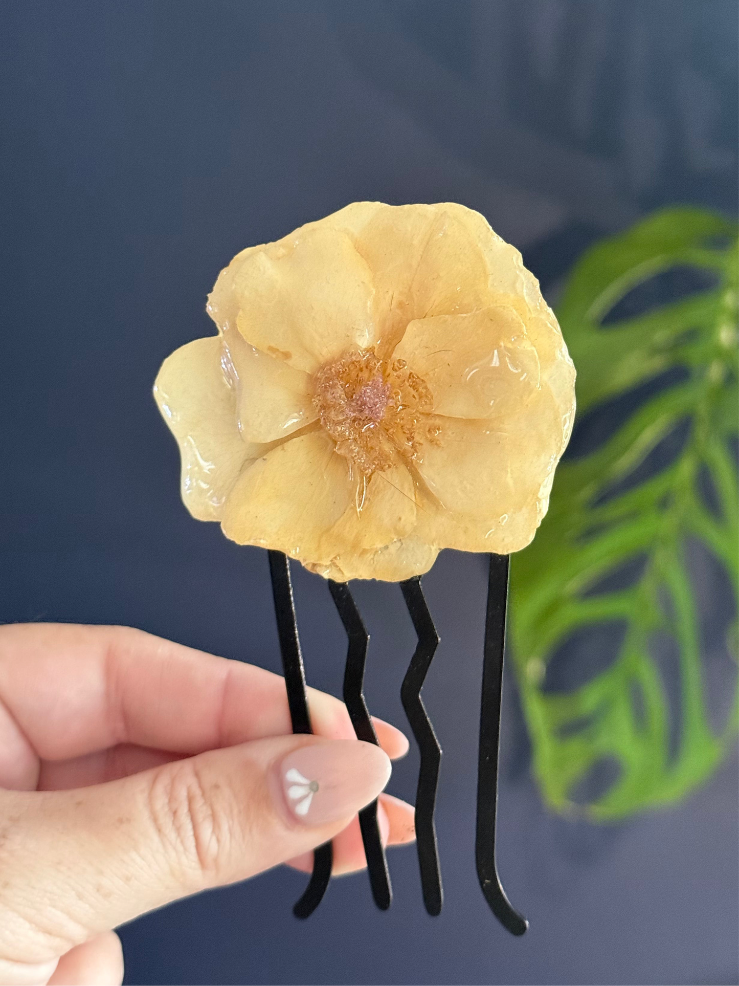 Knock Out Rose Comb