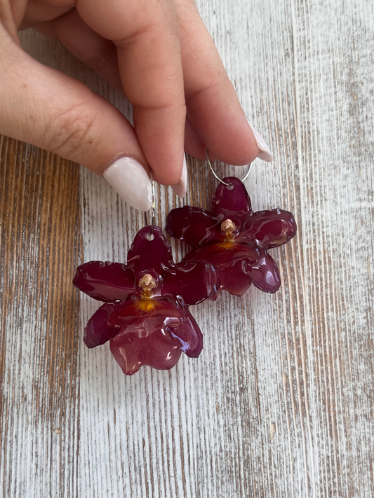 Soft Red Exotic Orchid