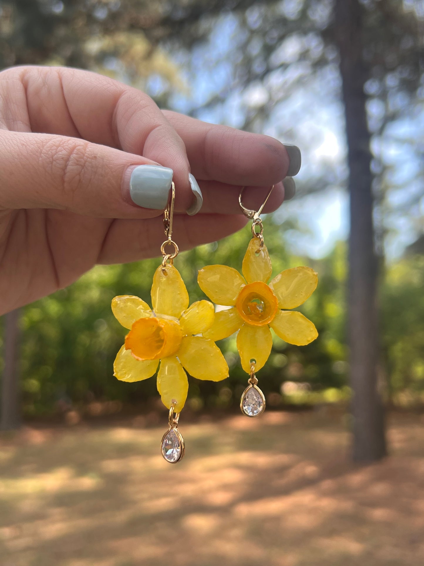 Mini Daffodil, Clear Charm