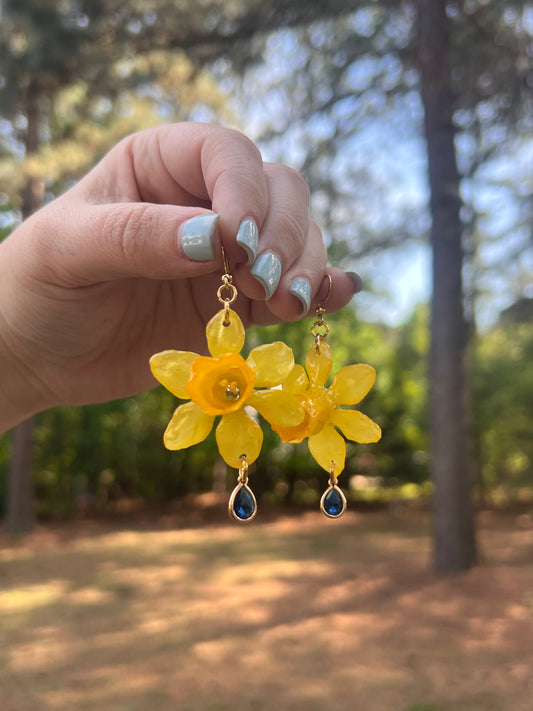 Mini Daffodil, Dark Blue Charm