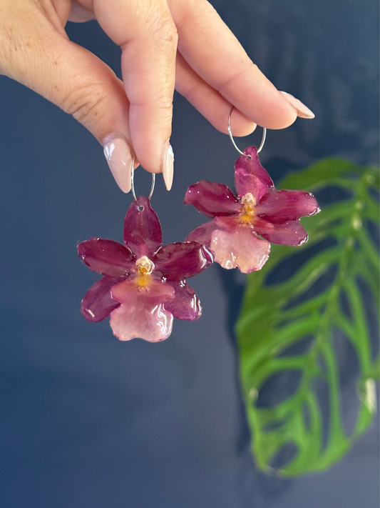 Blush Red Exotic Orchid