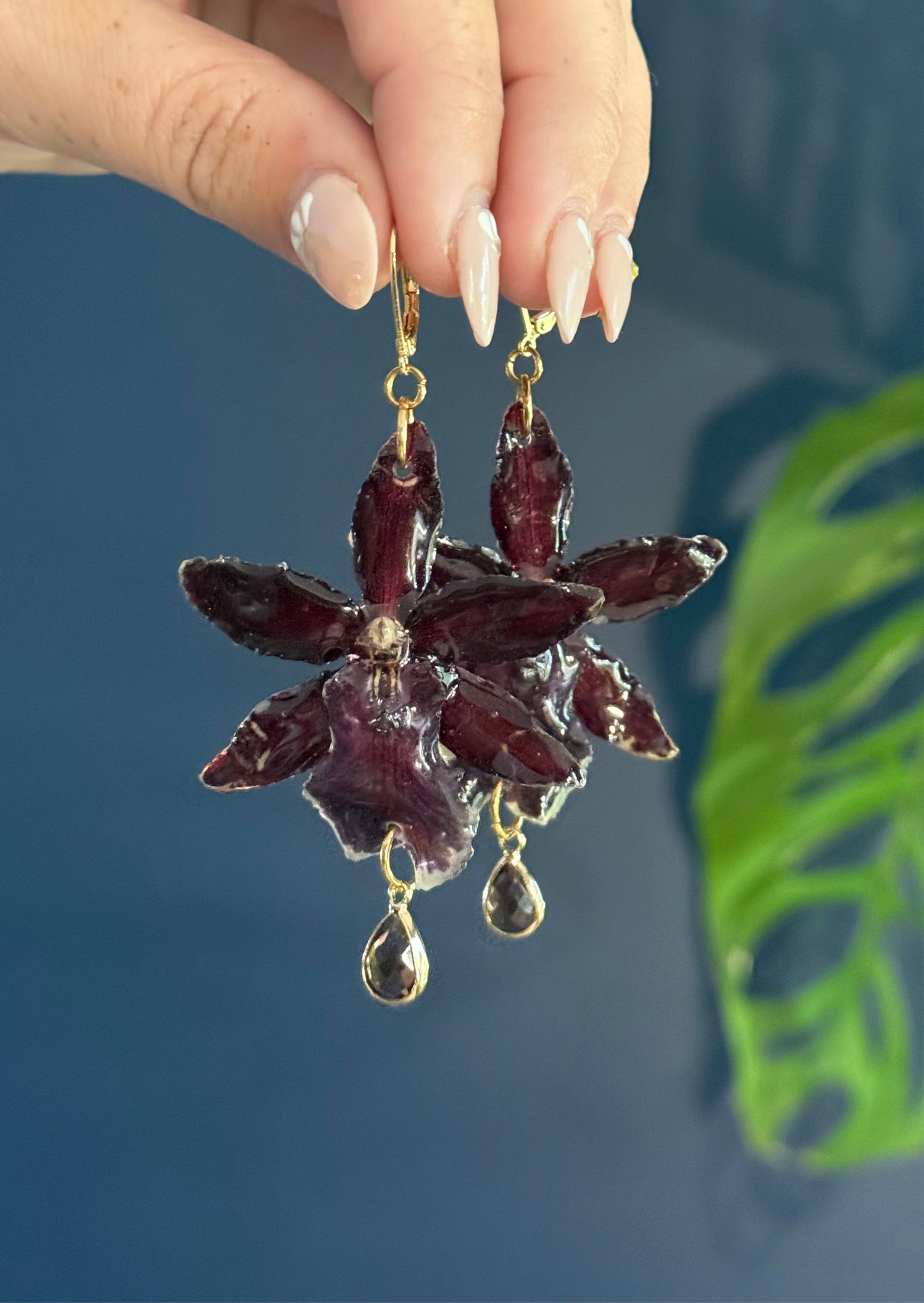 Dark Red Exotic Orchid, French