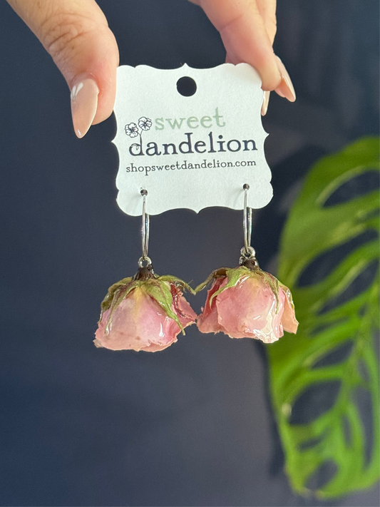 Soft Pink Roses