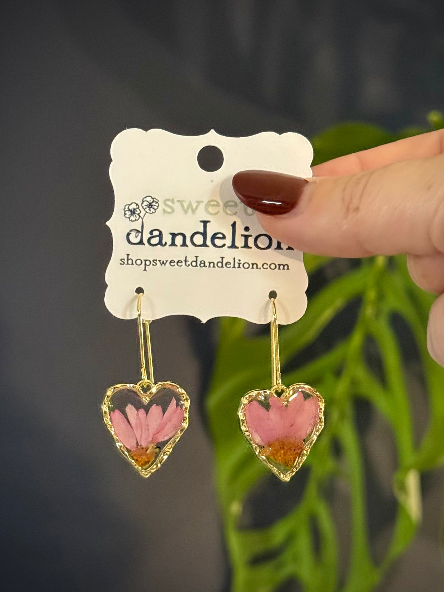 Heart Pink Daisy Flower