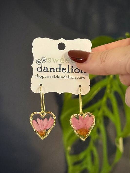 Heart Pink Daisy Flower