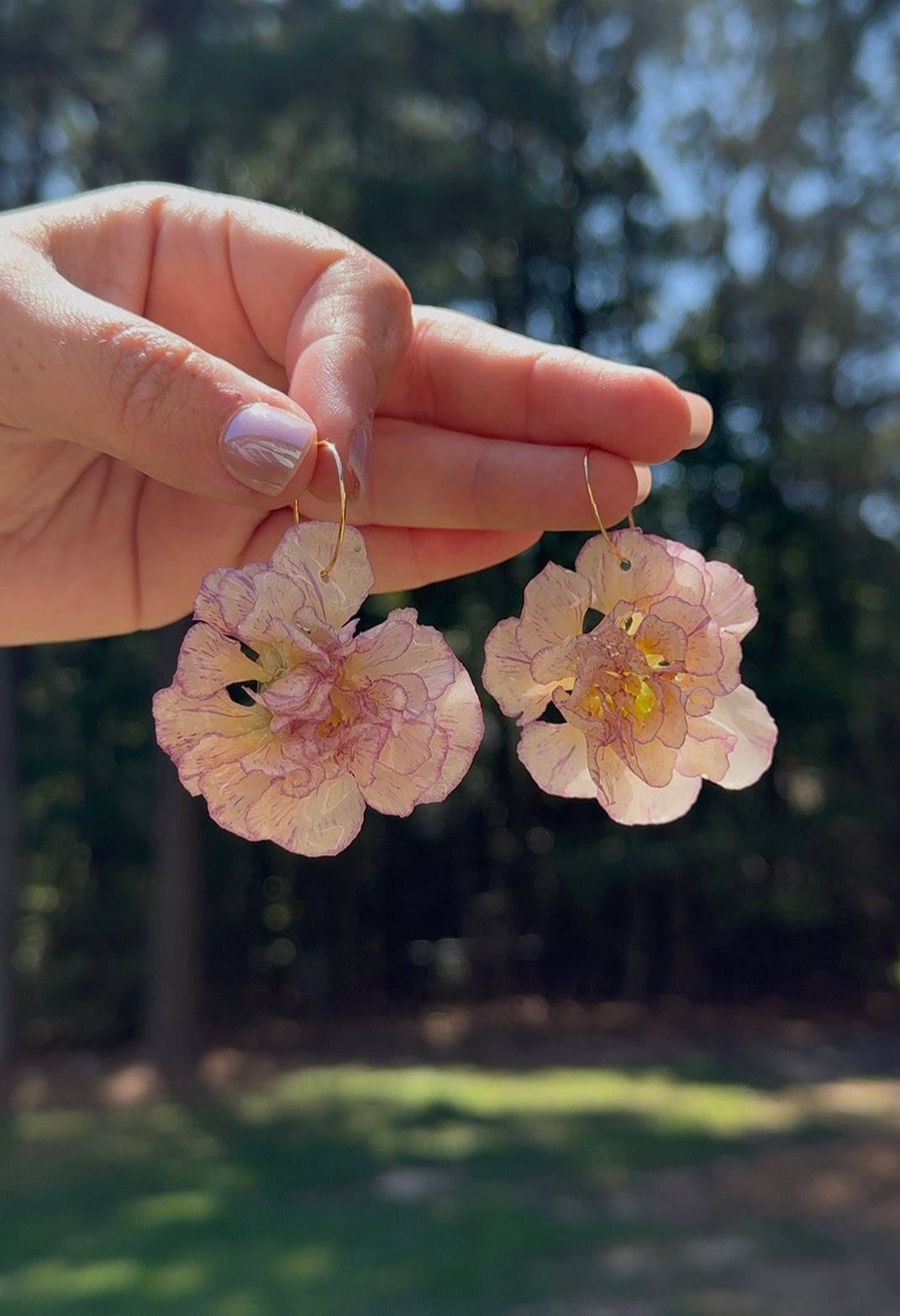 Light Pink Carnation