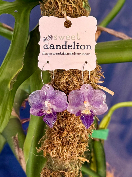 Periwinkle Mini Orchid