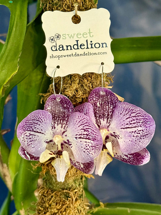 Yellow and Purple Spotted Orchid