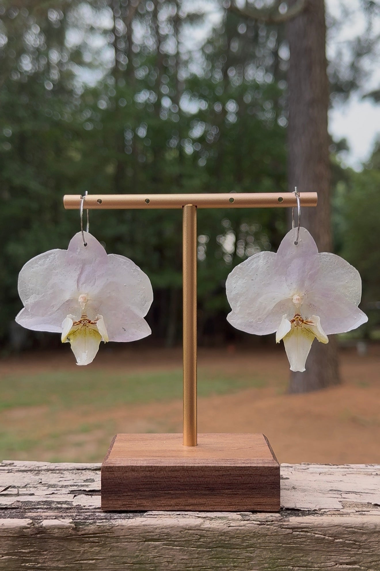 White Orchids