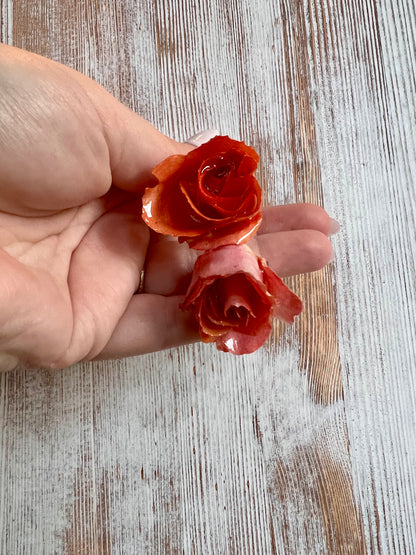 Peachy Pink Roses