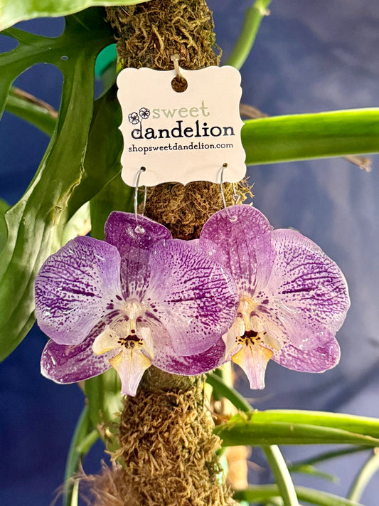 Purple and Yellow Orchid - Large