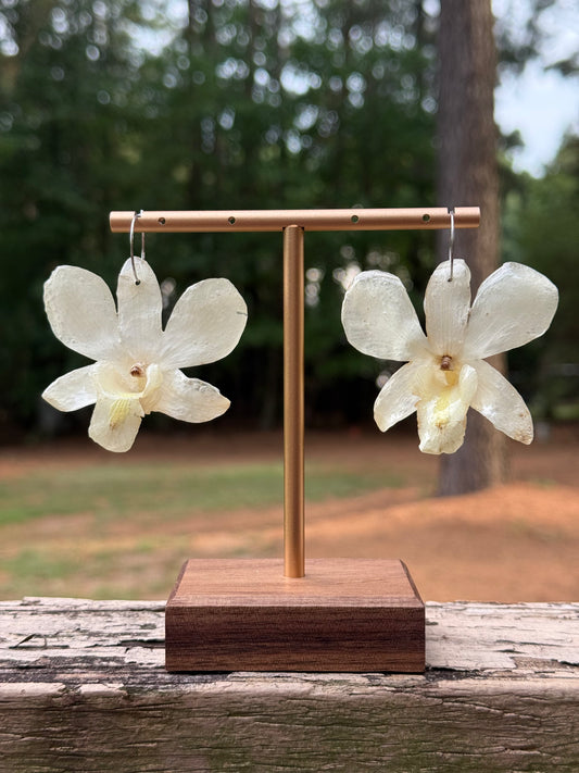 Exotic White Orchid