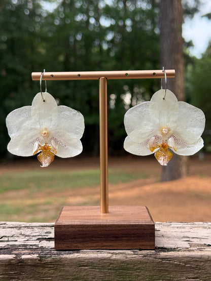 White Orchid