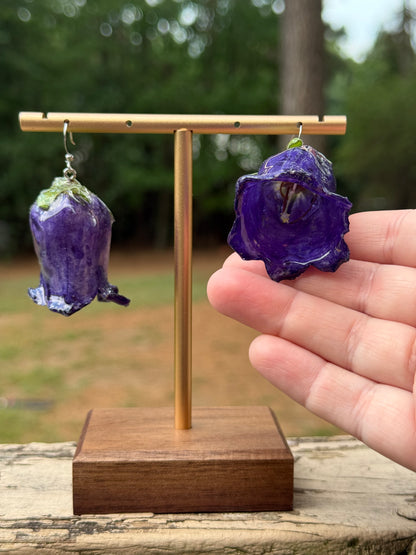 Purple Canterbury Bell Flower