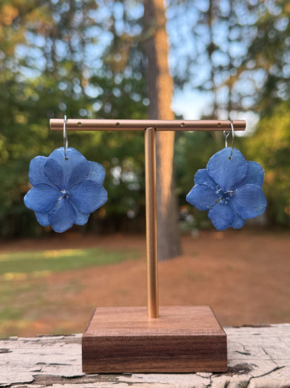 Hydrangea