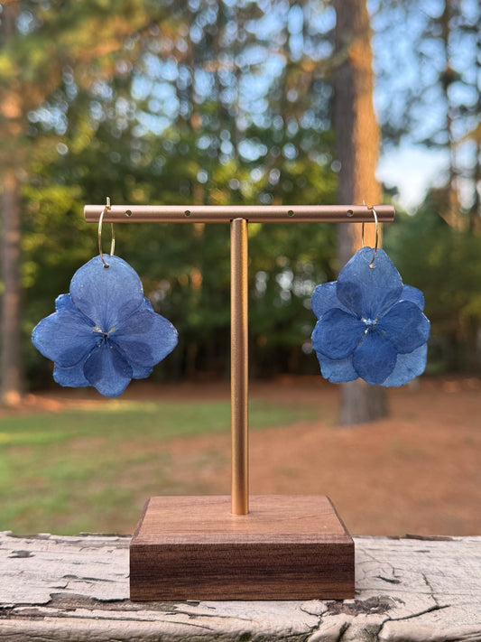 Hydrangea