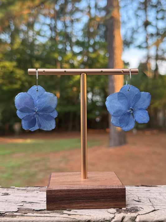 Hydrangea