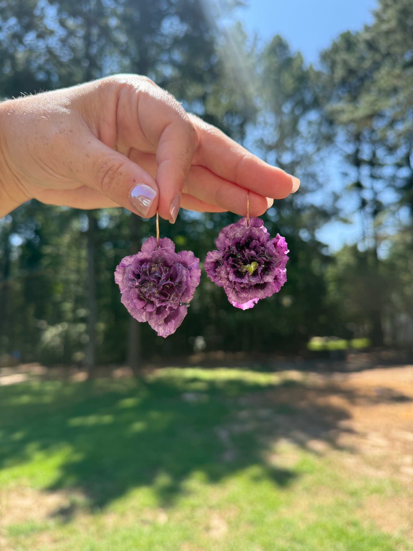 Purple Carnation