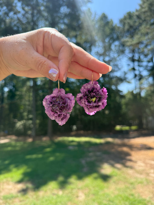 Purple Carnation