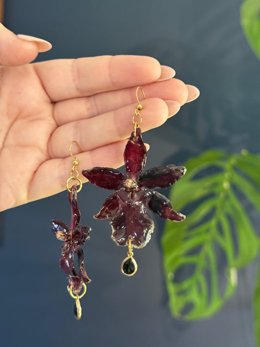 Dark Red Exotic Orchid