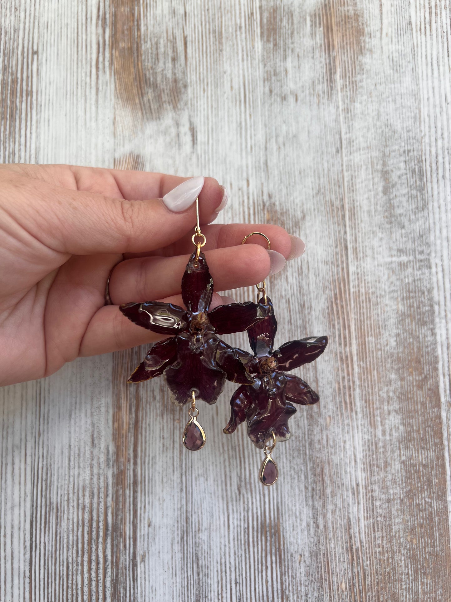 Dark Red Exotic Orchid, French Hook