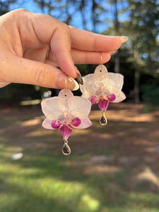 White and Pink Mini Orchid