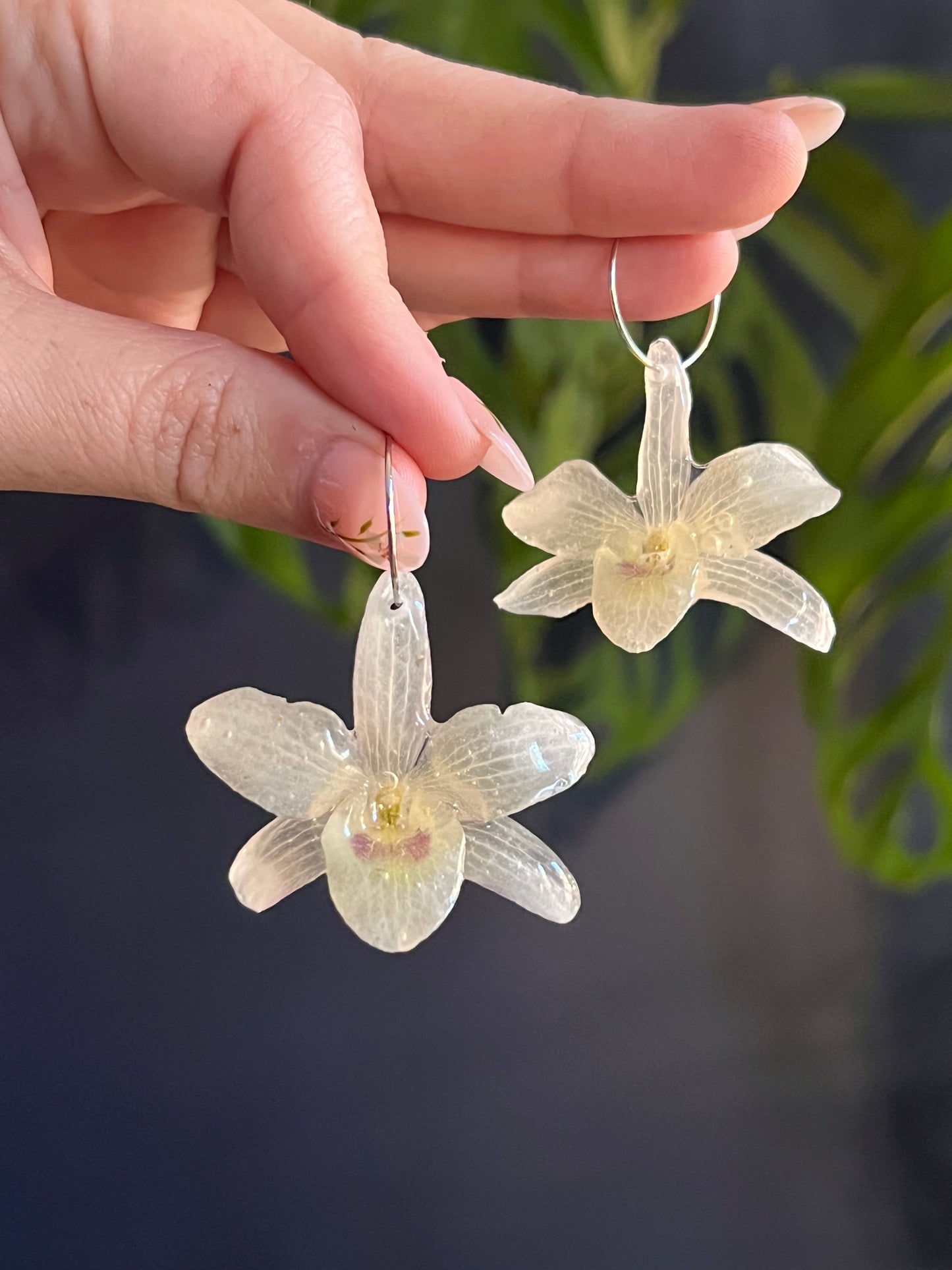 Dendrobium nobile "Angel Baby" Hoop Earring