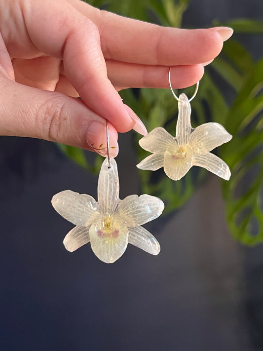 Dendrobium nobile "Angel Baby" Hoop Earring