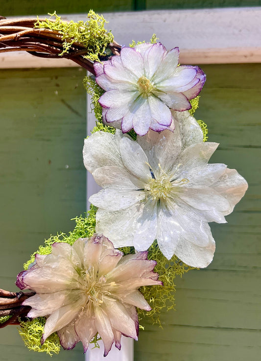 White Hellebore Wreath 6"