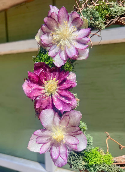 Multi Purple Hellebore Wreath 10"