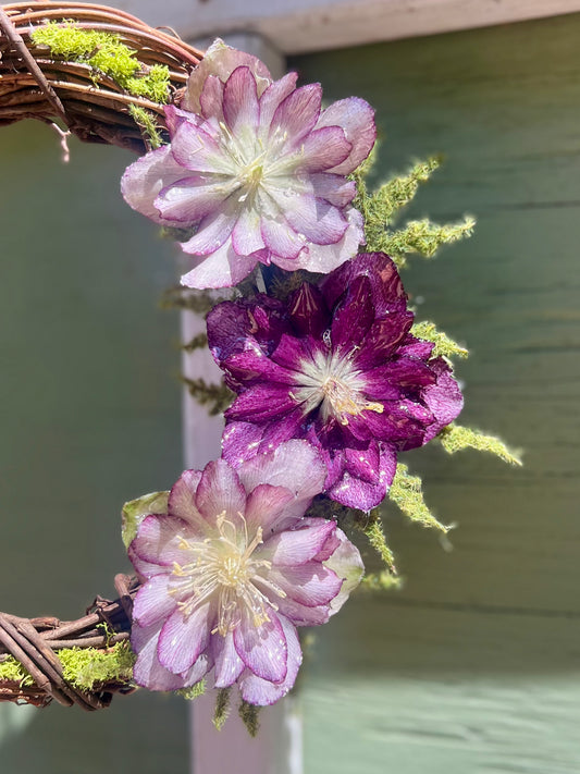 Multi Purple Hellebore Wreath 8"