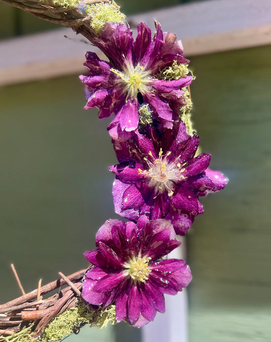 Deep Purple Hellebore Wreath 10"