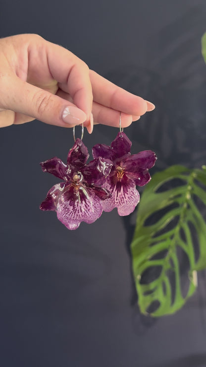 Purple Exotic Orchid