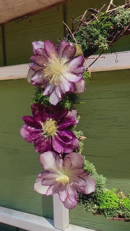 Multi Purple Hellebore Wreath 10"